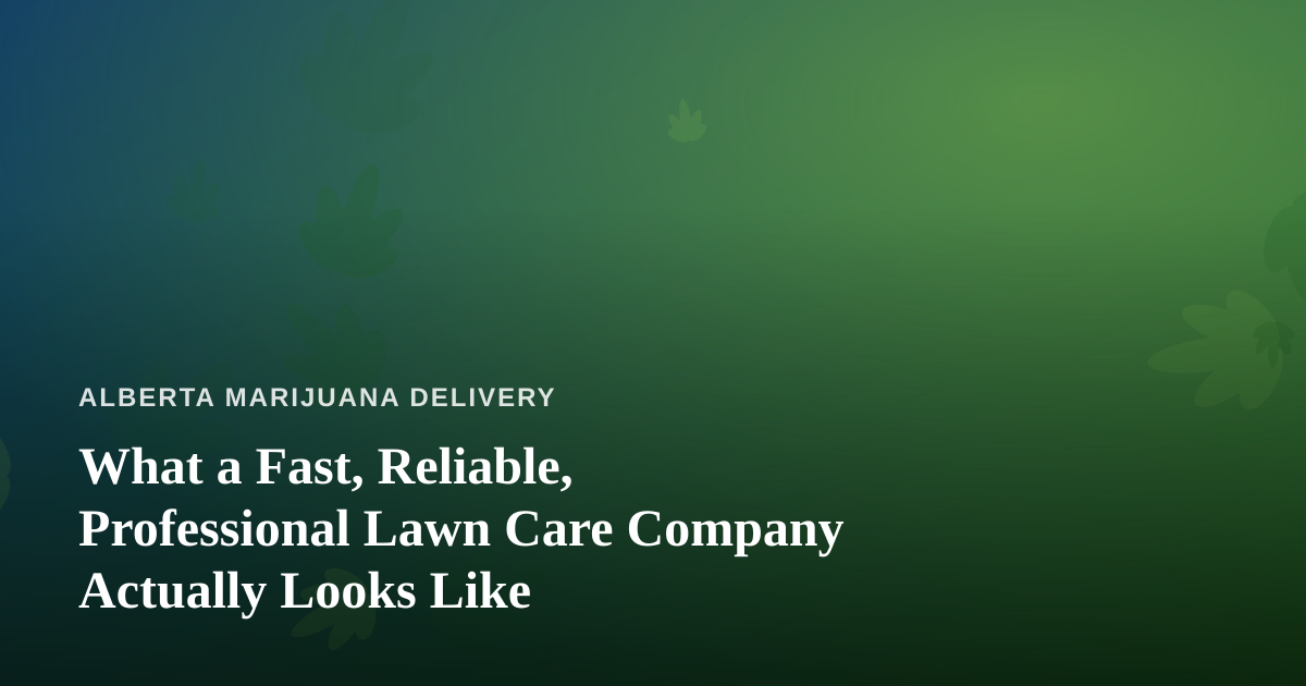 What a Fast, Reliable, Professional Lawn Care Company Actually Looks Like