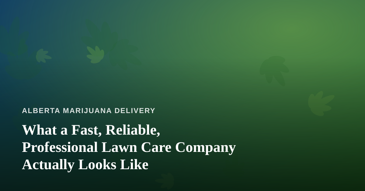 What a Fast, Reliable, Professional Lawn Care Company Actually Looks Like
